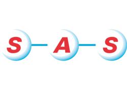 SAS Group logo